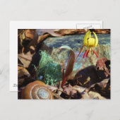 黄色と梅のスイレンとカタツムリ ポストカード (正面/裏面)