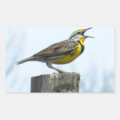 黄色と灰色の印を持つ美しいミャドウラルク 長方形シール (正面)