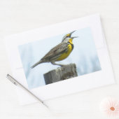 黄色と灰色の印を持つ美しいミャドウラルク 長方形シール (封筒)