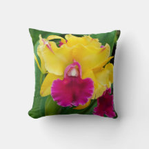 黄色と熱いピンク色のエキゾチックなラン