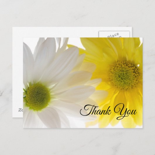 黄色と白のデイジー 感謝 ポストカード (正面/裏面)