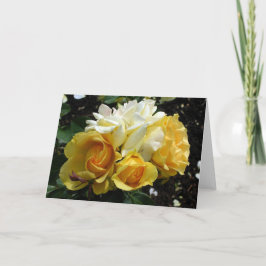 黄色と白のバラ カード
