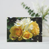 黄色と白のバラ サンキューカード (スタンド正面)