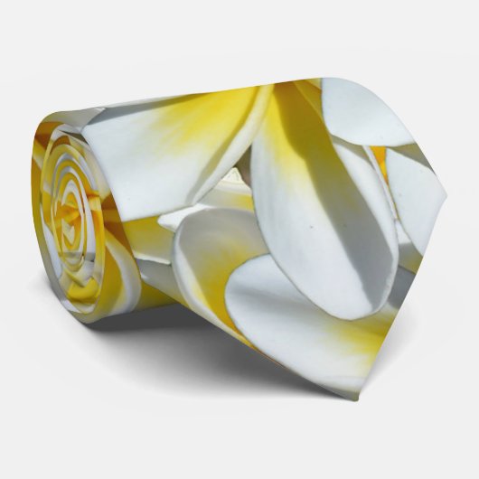 黄色と白のフランジパニスは ネクタイ (ロール)