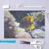 黄色と白の塩水コペルバンドバターフライ 薄葉紙 (クラフト)