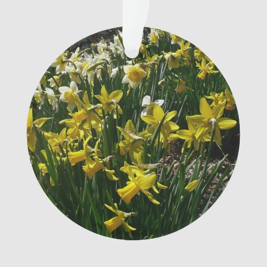 黄色と白の水仙の春の花 オーナメント (正面)