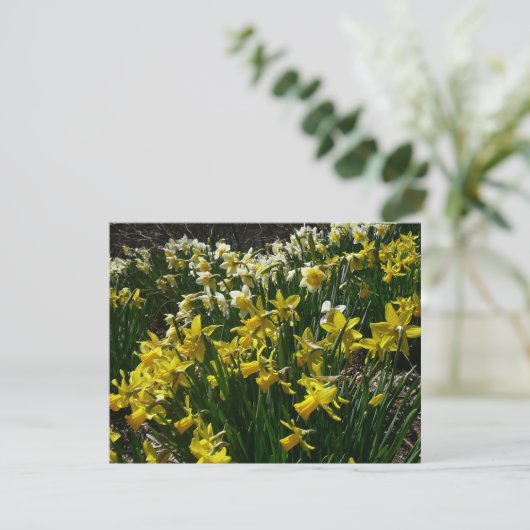 黄色と白の水仙の春の花 カード (スタンド正面)