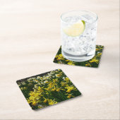 黄色と白の水仙の春の花 スクエアペーパーコースター (インサイチュ)