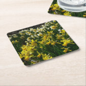 黄色と白の水仙の春の花 スクエアペーパーコースター (アングル)