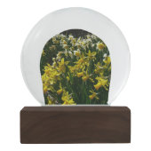 黄色と白の水仙の春の花 スノーグローブ (裏面)