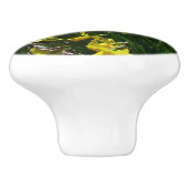 黄色と白の水仙の春の花 セラミックノブ (側面)