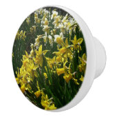 黄色と白の水仙の春の花 セラミックノブ (右)