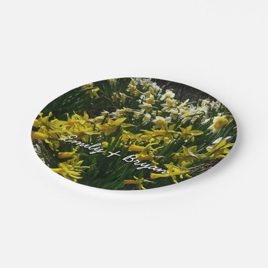 黄色と白の水仙の春の花 ペーパープレート (アングル)