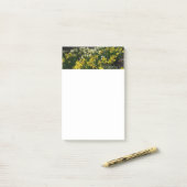 黄色と白の水仙の春の花 ポストイット (デスク上)