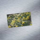 黄色と白の水仙の春の花 マグネット名刺 (インサイチュ)