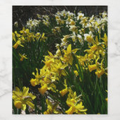 黄色と白の水仙の春の花 ワインラベル (シングルラベル)