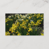 黄色と白の水仙の春の花 名刺 (裏面)