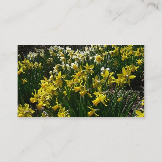 黄色と白の水仙の春の花 名刺 (裏面)