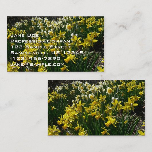 黄色と白の水仙の春の花 名刺 (正面/裏面)