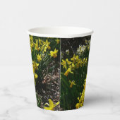 黄色と白の水仙の春の花 紙コップ (右)