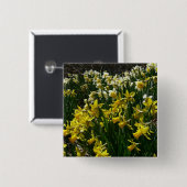 黄色と白の水仙の春の花 缶バッジ (正面&裏面)