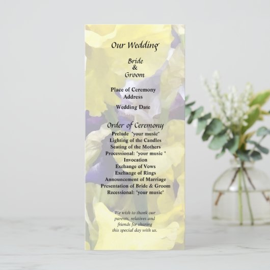 黄色と紫のアイリス各種 プログラム (スタンド正面)