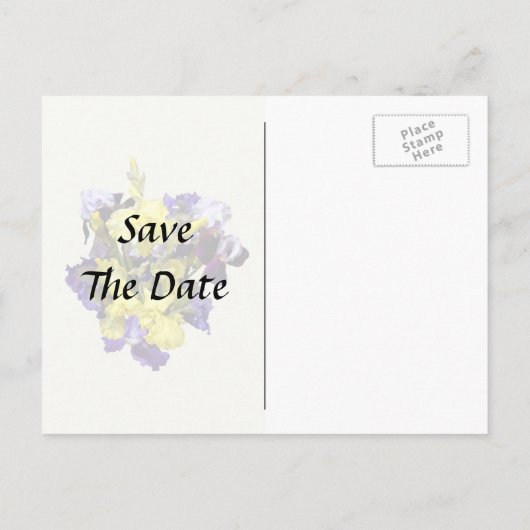 黄色と紫のアイリス各種 案内ポストカード (裏面)