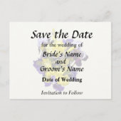 黄色と紫のアイリス各種 案内ポストカード (正面)