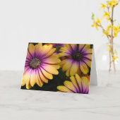 黄色と紫のアフリカデイジーカード カード (黄色い花)