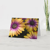 黄色と紫のアフリカデイジーカード カード (正面)