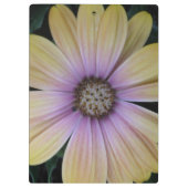 黄色と紫のデイジーの花 クリップボード (裏面)