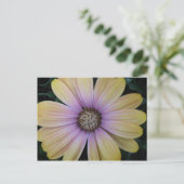 黄色と紫のデイジーの花 ポストカード (スタンド正面)