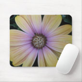 黄色と紫のデイジーの花 マウスパッド (マウス)