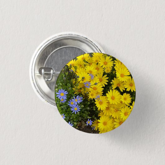 黄色と紫のデイジーボタン 缶バッジ (正面&裏面)