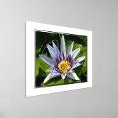 黄色と紫の水百合箔文字箔プリント 箔ポスター (レイダウン)