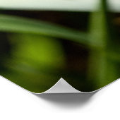 黄色と紫の虹彩 ポスター (角)