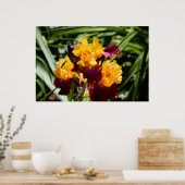 黄色と紫の虹彩 ポスター (キッチン)