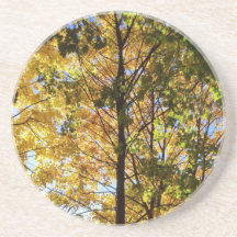 黄色と緑の秋の葉