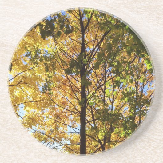黄色と緑の秋の葉 コースター (正面)