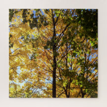 黄色と緑の秋の葉