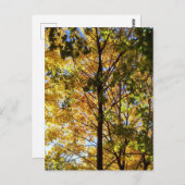 黄色と緑の秋の葉 ポストカード (正面/裏面)