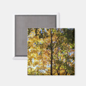 黄色と緑の秋の葉 マグネット (正面/裏面)