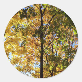 黄色と緑の秋の葉 ラウンドシール
