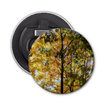 黄色と緑の秋の葉