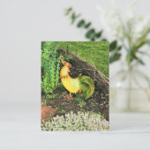 黄色と緑の雄鶏 ポストカード (スタンド正面)