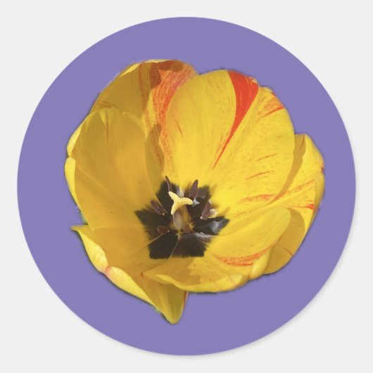黄色と赤のオープンチューリップステッカー ラウンドシール (正面)