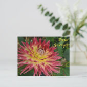 黄色と赤のダリアの花 植物 花卉 ポストカード (スタンド正面)