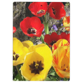 黄色と赤のチューリップ クリップボード (裏面)