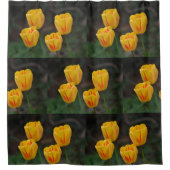 黄色と赤のチューリップ シャワーカーテン (正面)