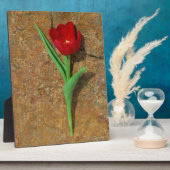 黄色と赤のチューリップ フォトプラーク (側面)